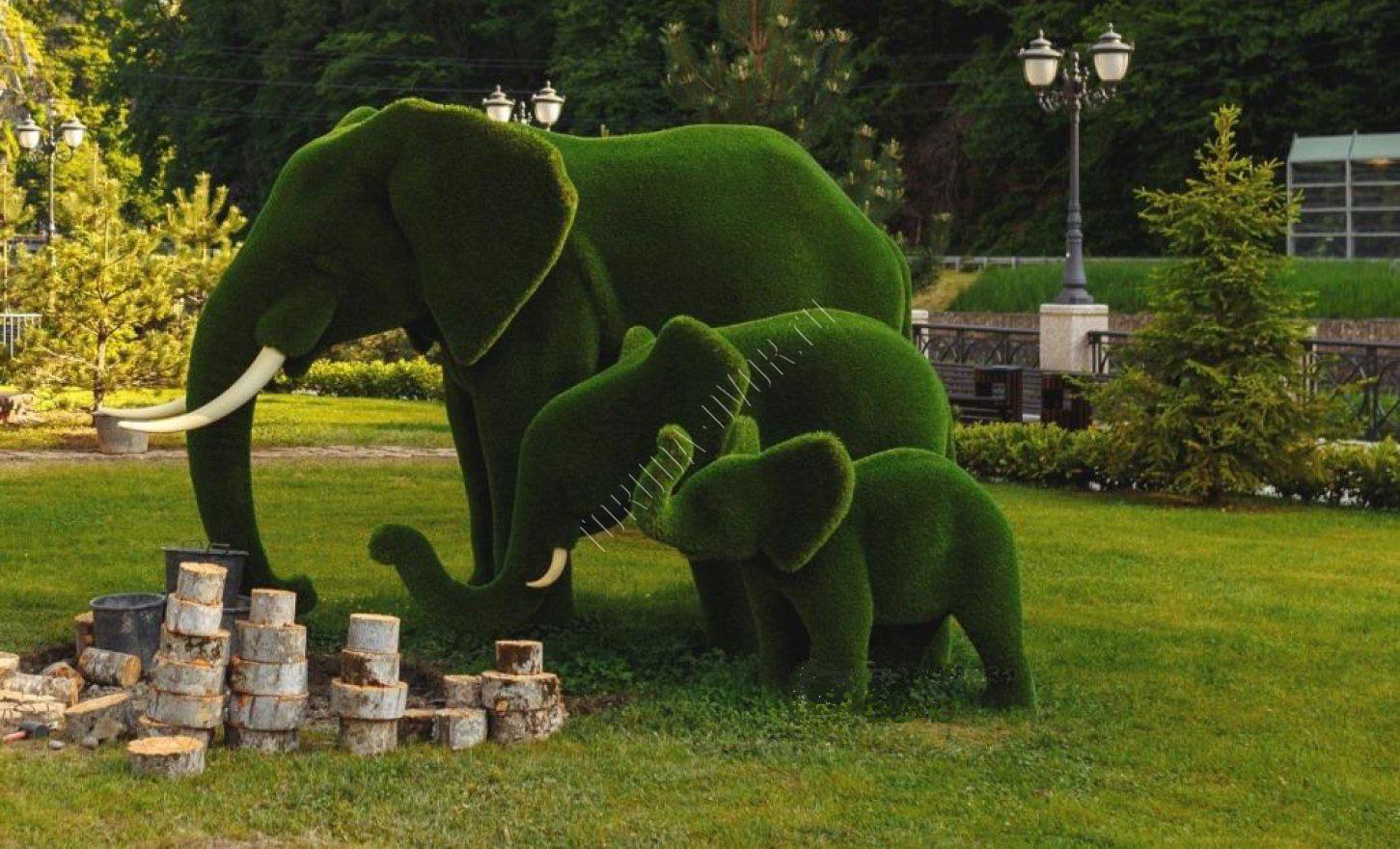 Зеленая слоновая. Топиари слон. Топиарные фигуры слон. Топиари слон большой. Слон топиари садовое.